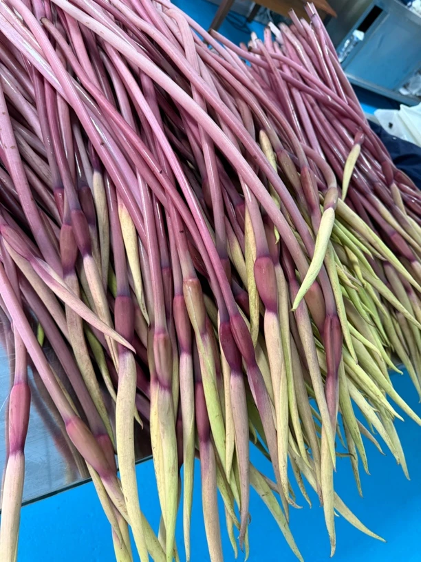 云南保山本芋头花2斤一份