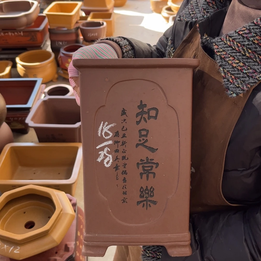 花盆紫砂盆景艺术