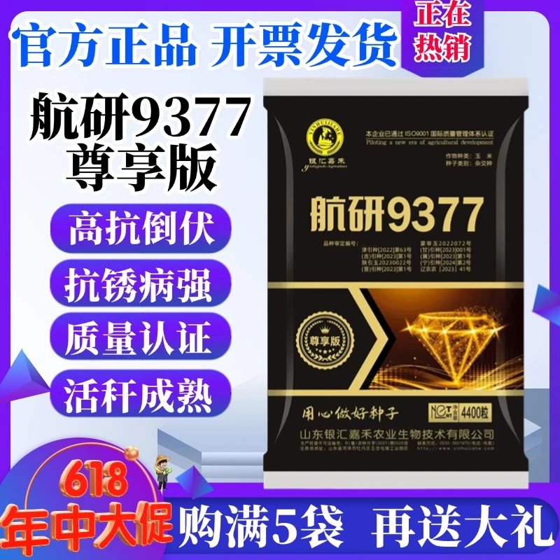 航研9377玉米种子尊享版官方正品大穗抗锈抗倒非转基因玉米种子