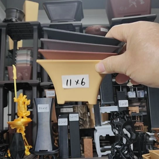 8只11*6斗笠盆混色