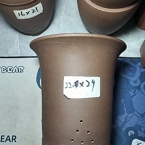 莲花金钟一个花盆