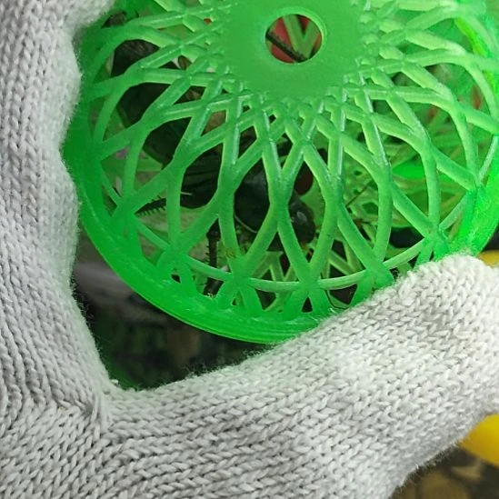 蟋蟀我在这里等你们哟