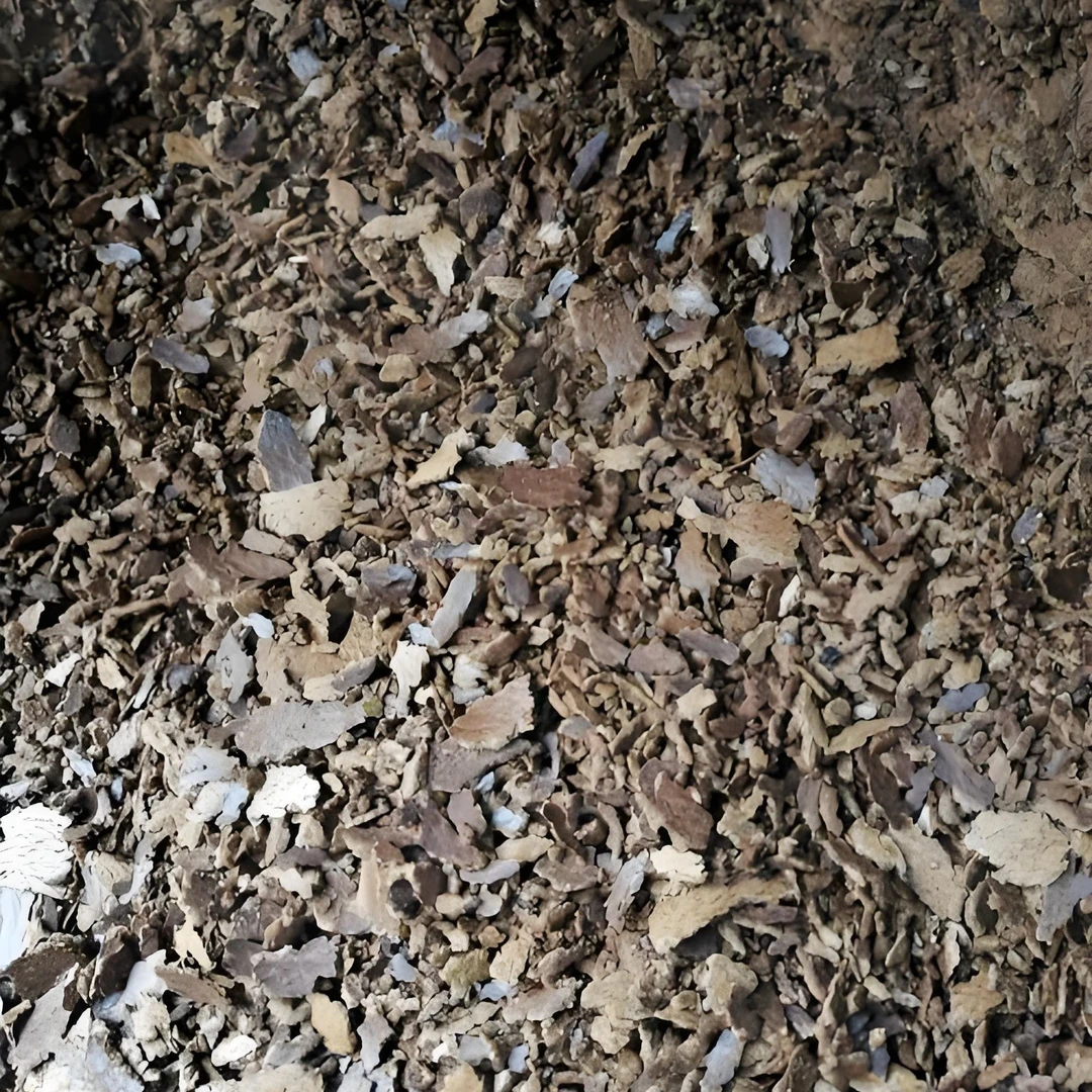 菜枯粉  钓鱼打窝养花养草种菜天然植物肥料土疏松透气营养3斤