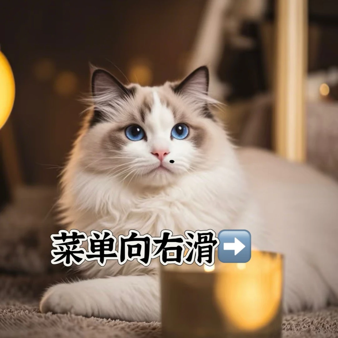 喜喜家宠物零食自选【配货/自选/可连麦/可不连麦下单备注】