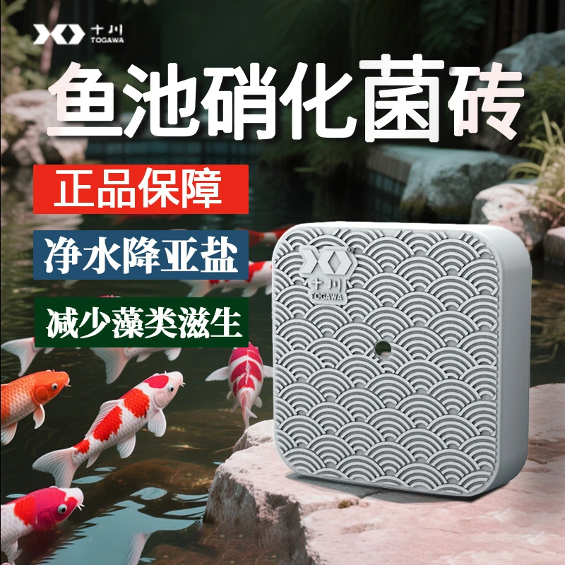 菌方菌砖硝化菌鱼缸鱼池净水过滤锦鲤池庭院消化菌分解粪便培菌