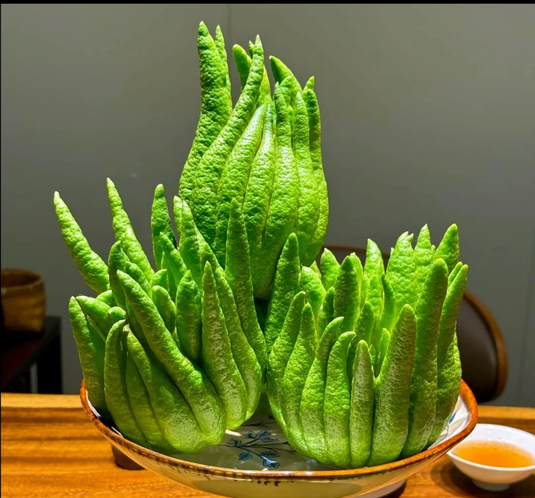 【精品·中果·佛手柑】佛手柑高端类花材新鲜采摘云南基地直发