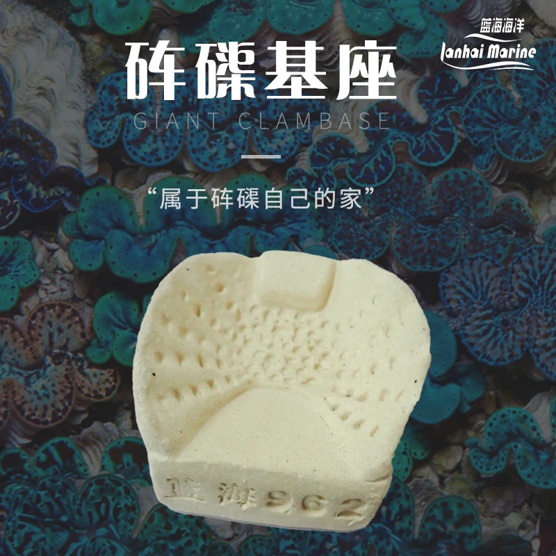 砗磲基座、砗磲底座,高温烧制,无有害物质释放