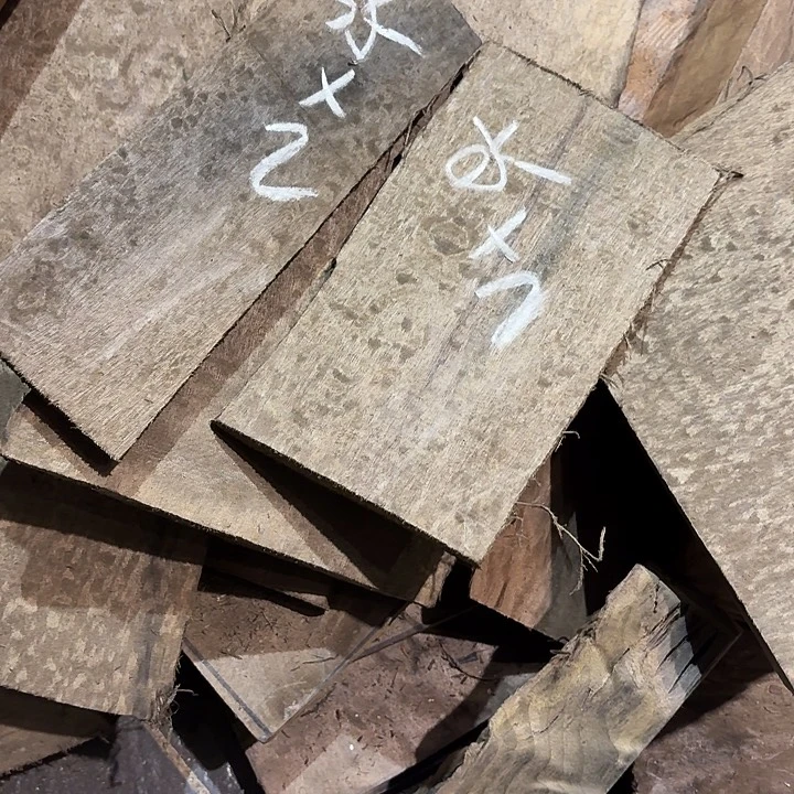 水***)四川小叶金丝楠原材料