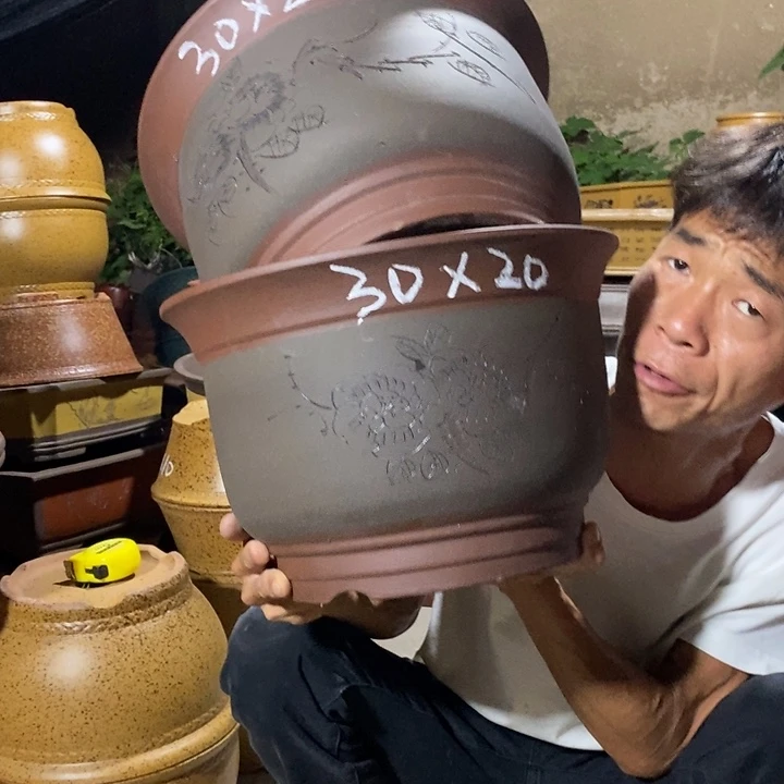 紫砂紫砂紫砂紫砂