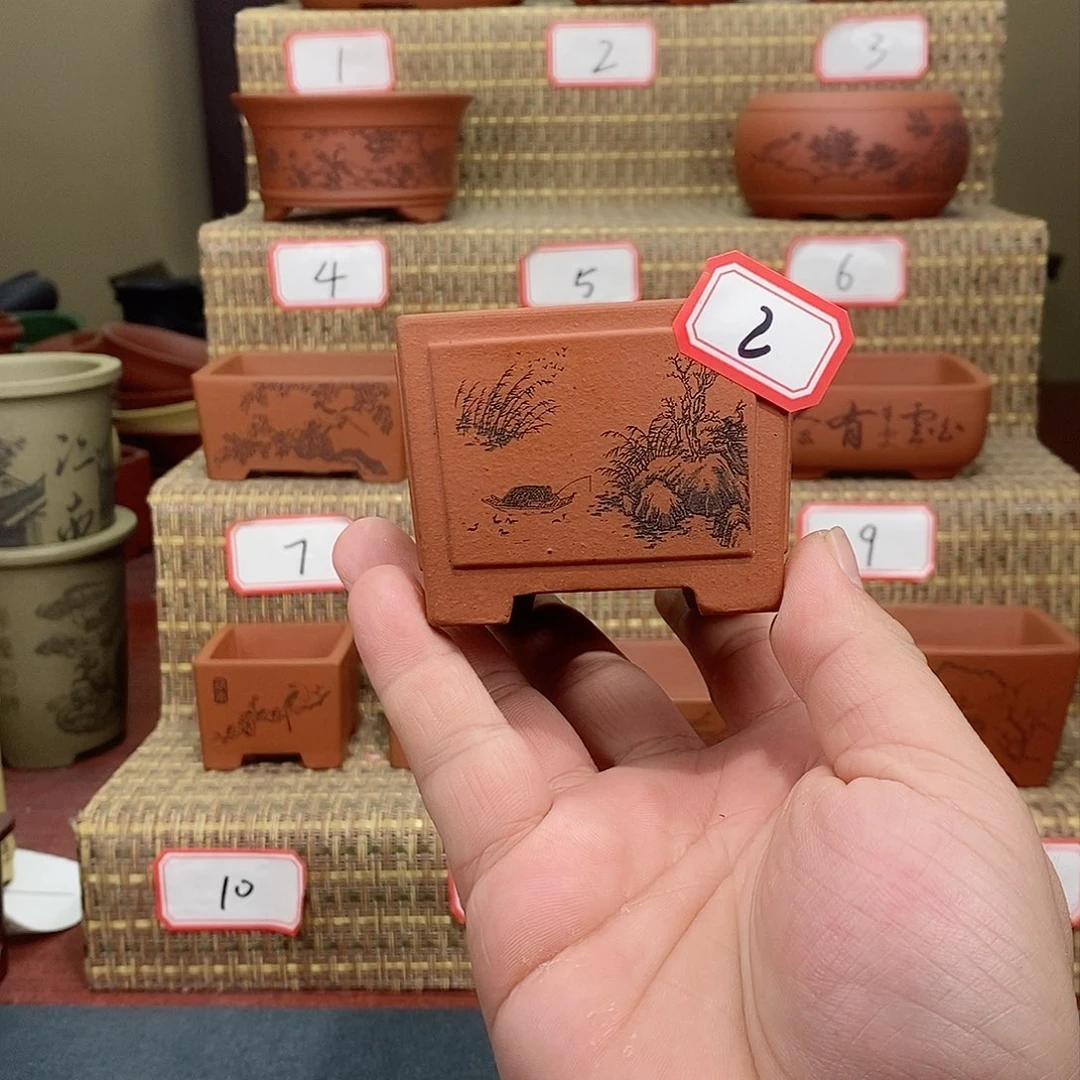 紫砂花盆花**贵我在等一