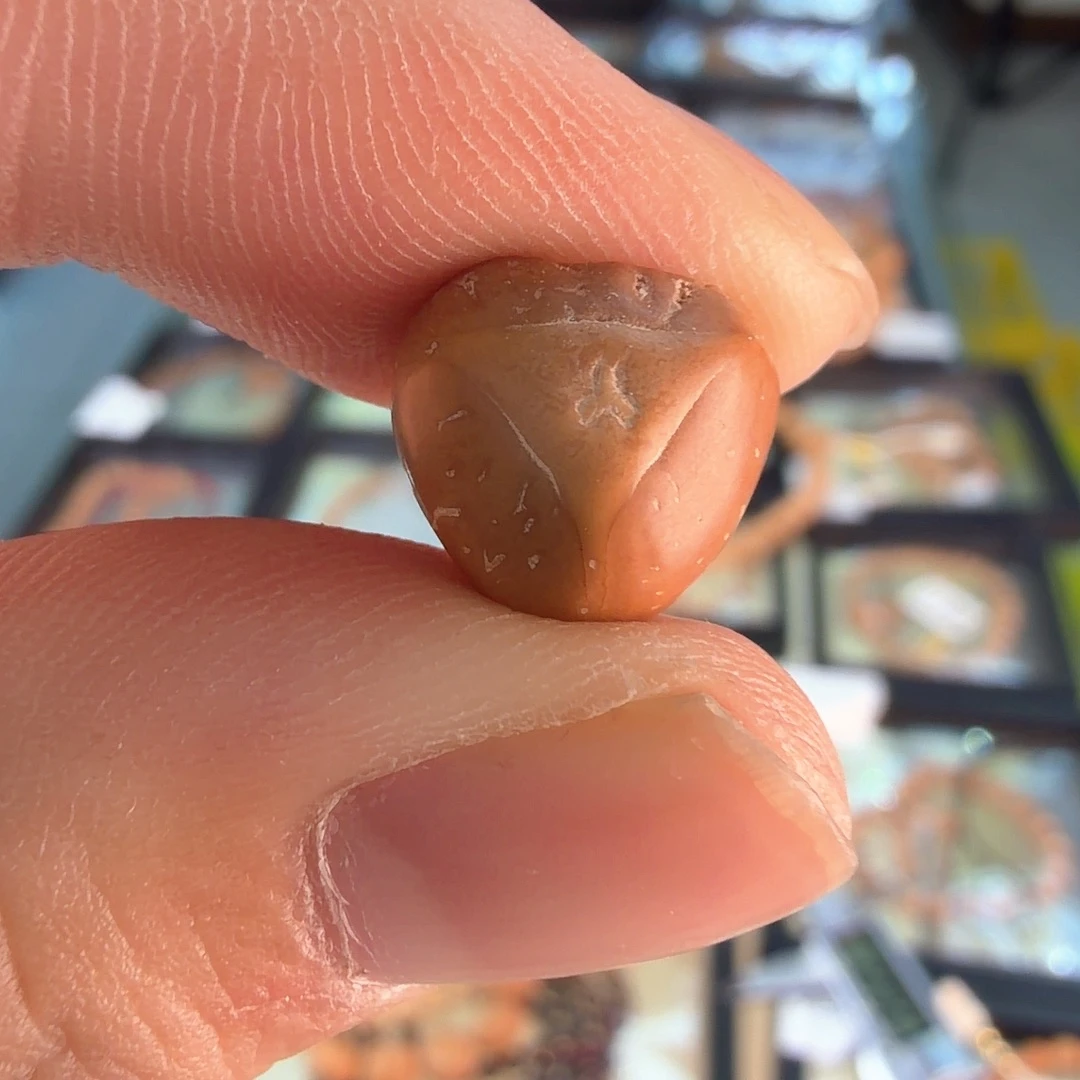 吊坠凤眼菩提3988