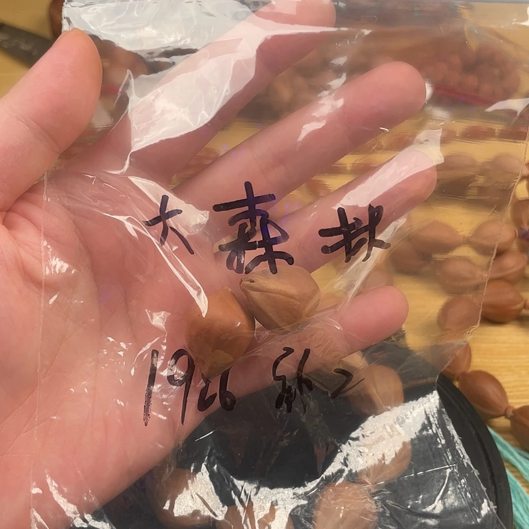 大****橄榄核吊坠1926补子2颗大森林