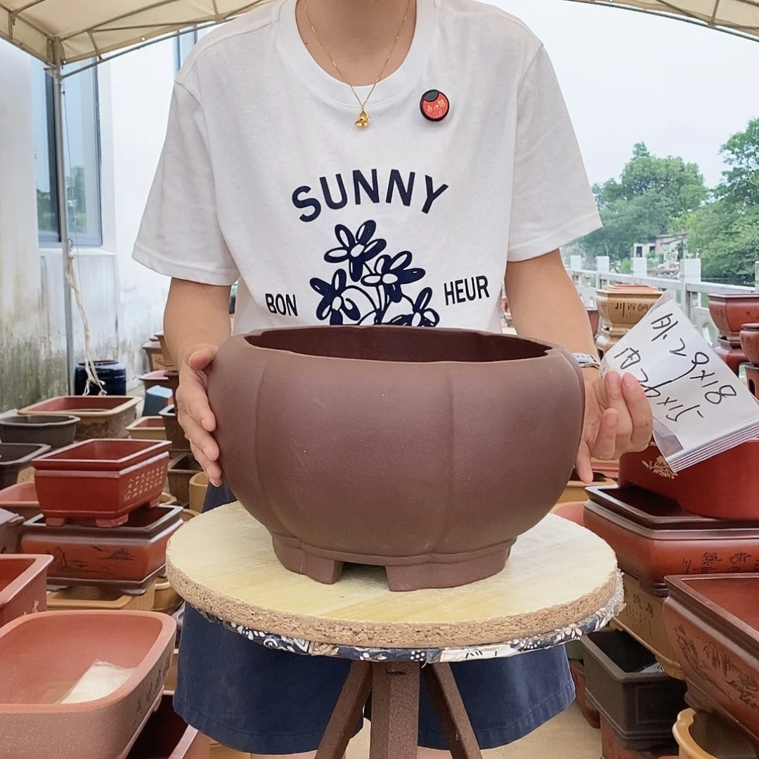 紫砂花盆紫砂花盆