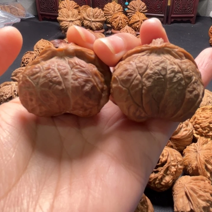 宫灯蛇头35尺寸核桃哈哈哈哈哈哈