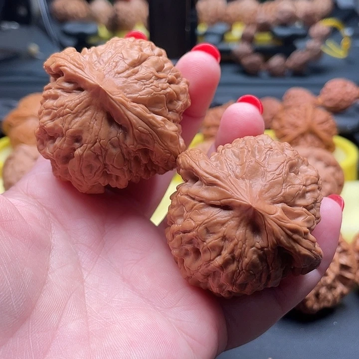 全品无修大龙鼎49/48/41