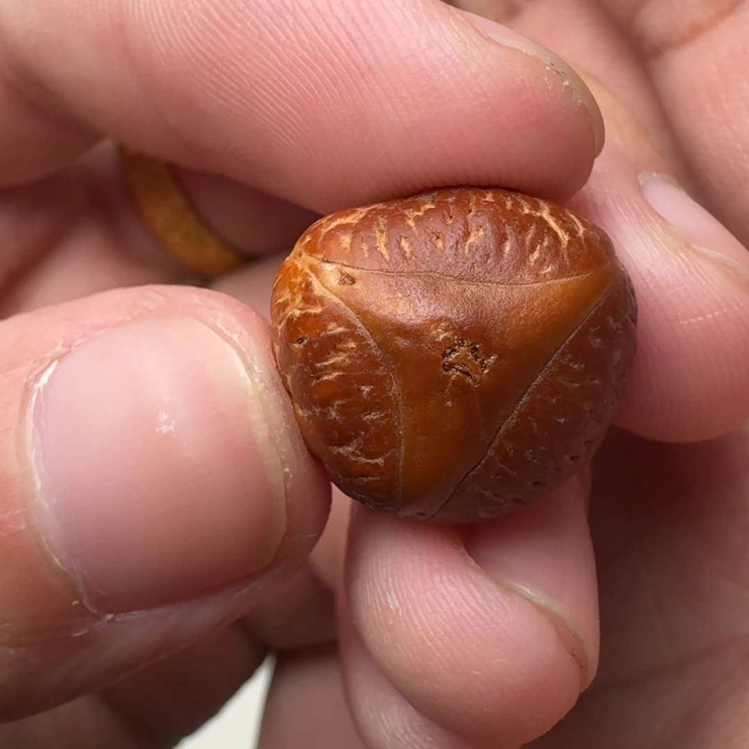 凤眼菩提吊坠实心龙17.3x15.1