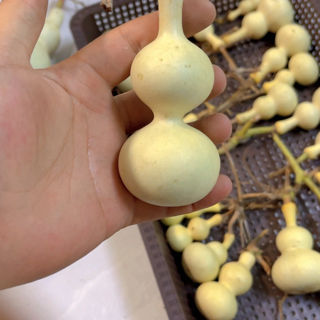 踏***云感谢大哥支持兄弟不保