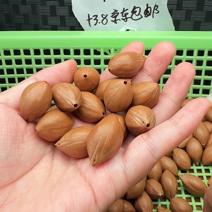 亦***可手串/手链橄榄核橄榄