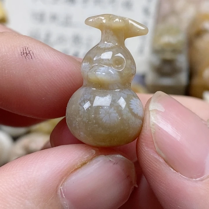 颈饰未镶嵌硅化珊瑚（珊瑚玉）小