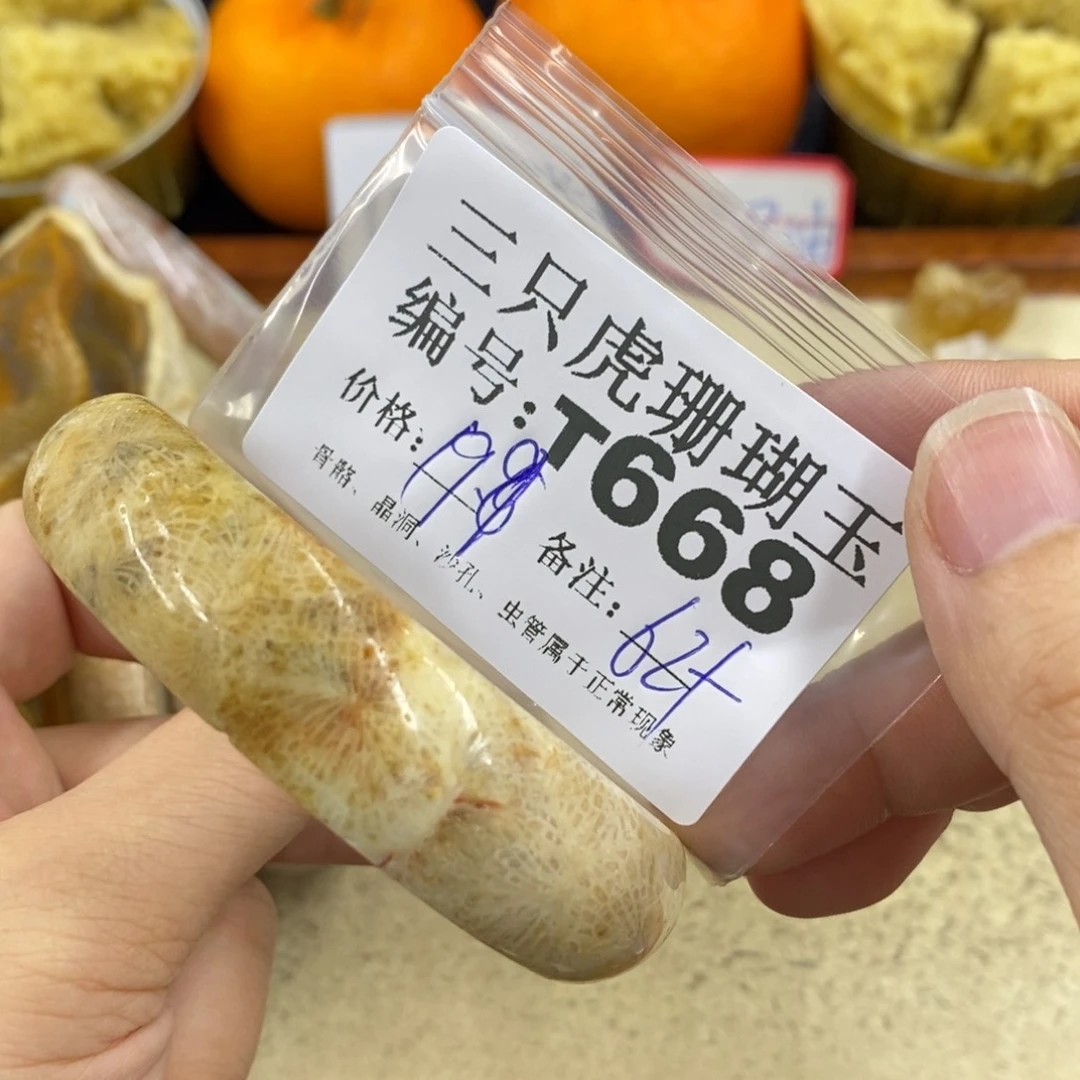 硅化珊瑚（珊瑚玉）1未镶嵌j**o