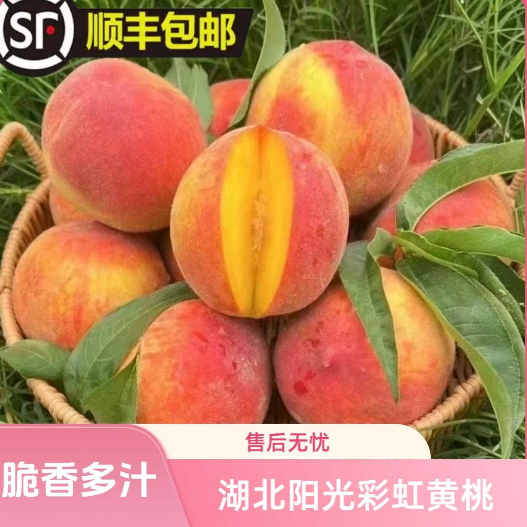 【顺丰包邮】湖北阳光彩虹黄金脆桃香甜多汁脆软两吃现摘坏果包赔