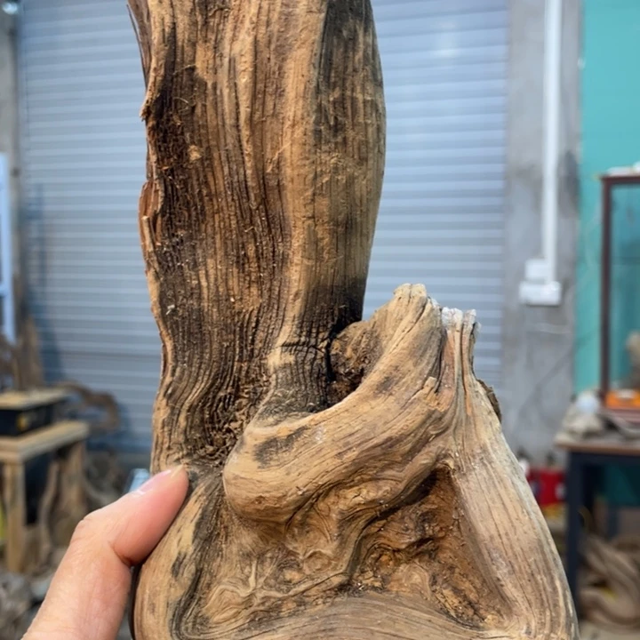 鋼**士我们都是好孩子呀