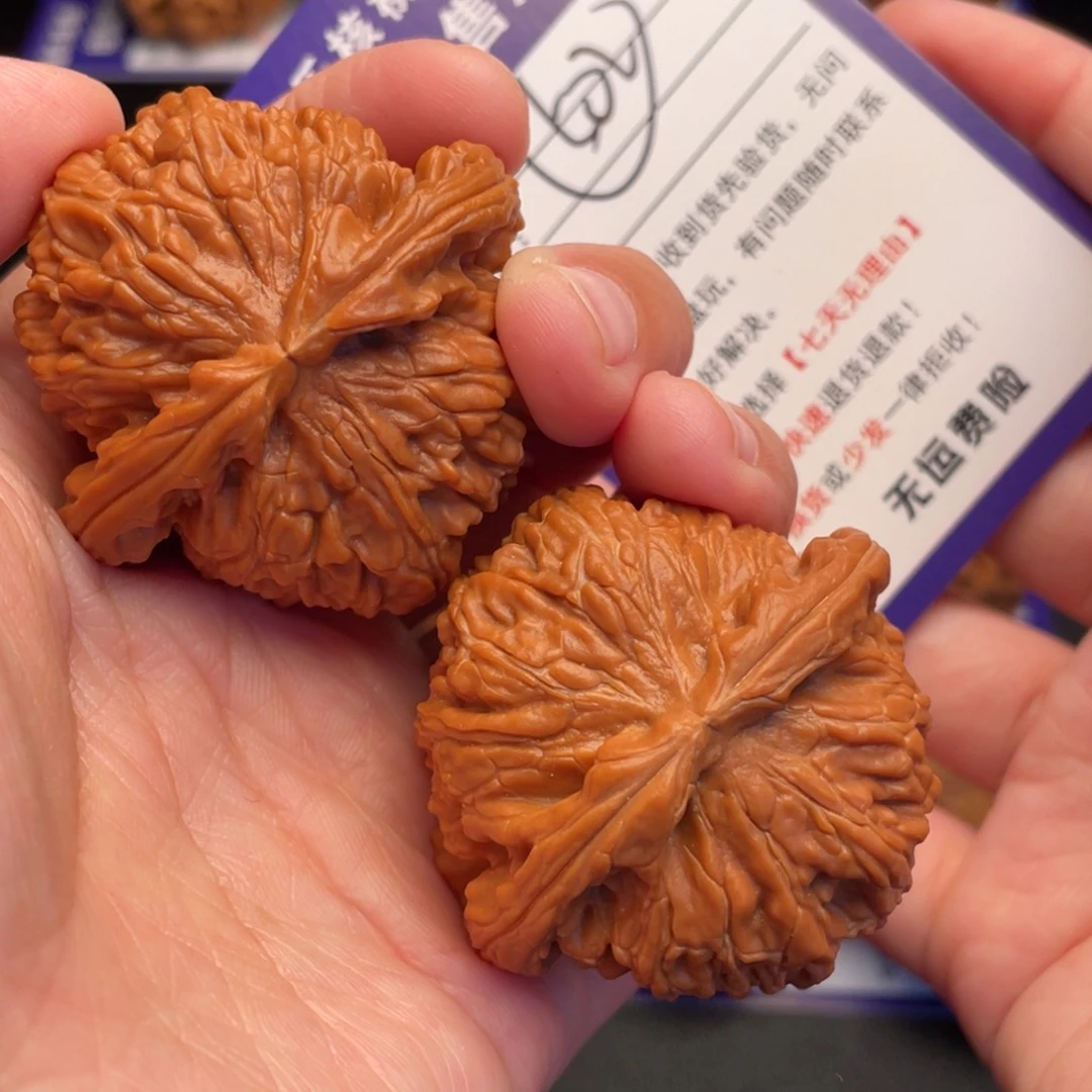 文玩核桃把件白狮子46