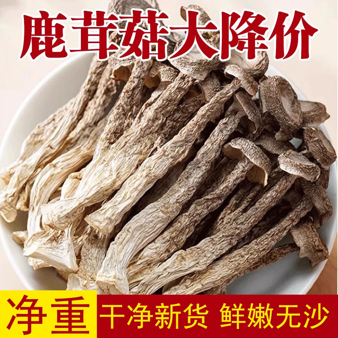 干货肥厚炒菜炖煲鸡汤鲜美炒肉美味鹿茸菌【高山鹿茸菇】