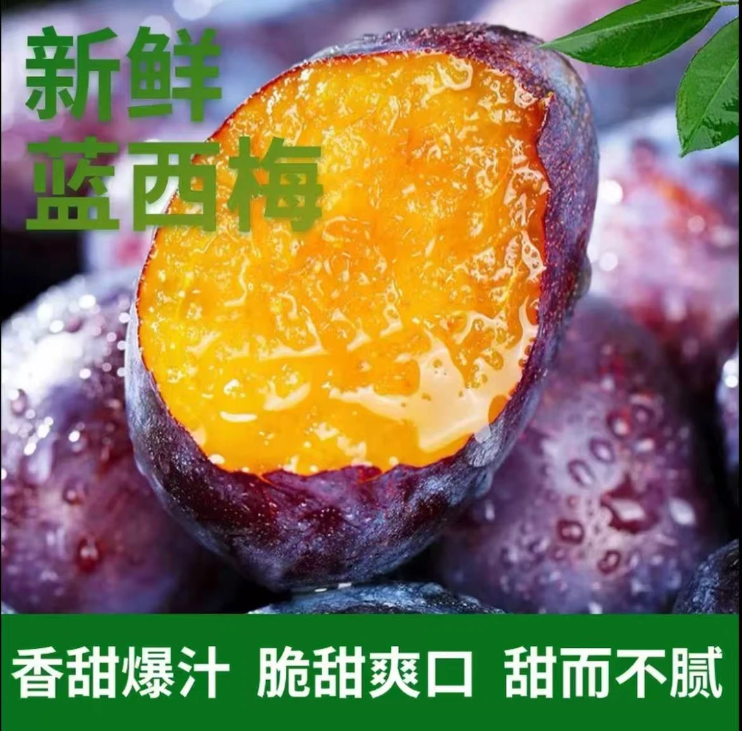 2025年头茬西梅水果 新鲜采摘 西梅酸甜可口 多汁 当季