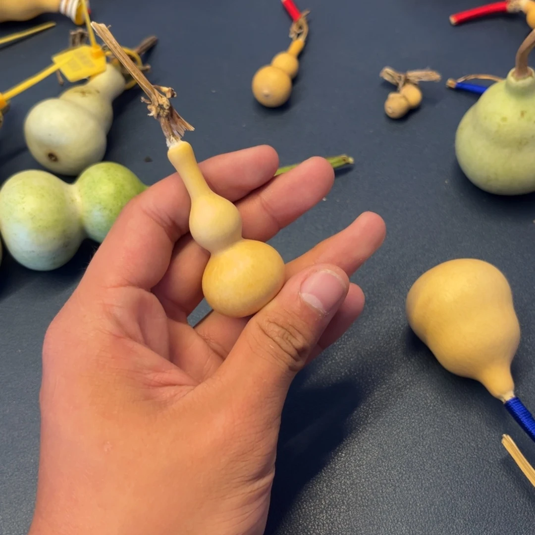 A***翅有机玻璃gghhfxghhj