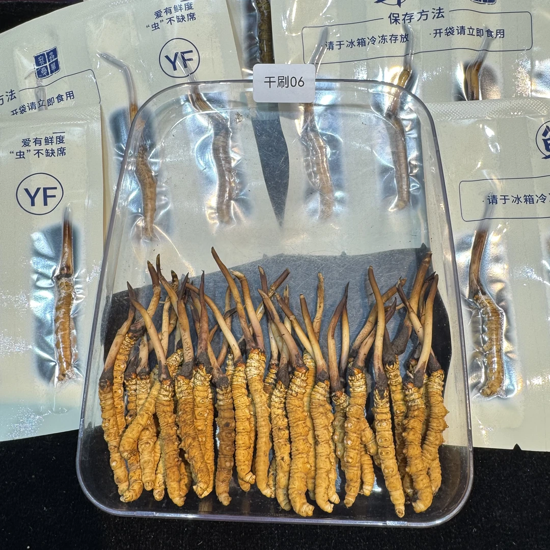 青海高海拔新鲜冬虫夏草0.8g规格