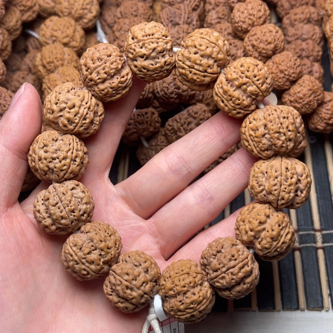 菩提23号金刚菩提爆肉梁梅花24