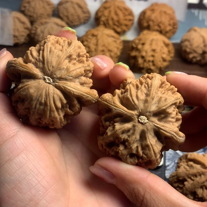 吊坠文玩核桃情**原粗筋