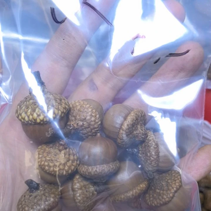 冬***天白玉菩提吊坠菩提散珠自选菩提散珠