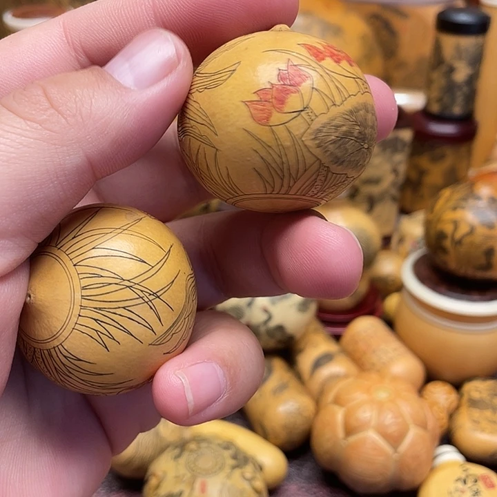 山***夫我是一只小小鸟地域