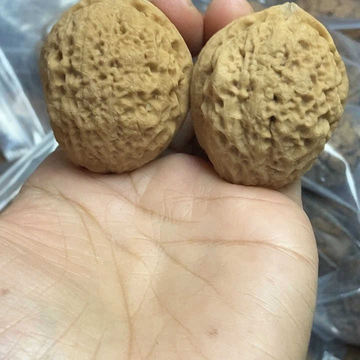 文玩核桃把件云南铁核桃基地21