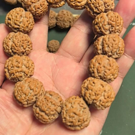 金刚菩提手串蜂窝双龙大金刚手串，22左右