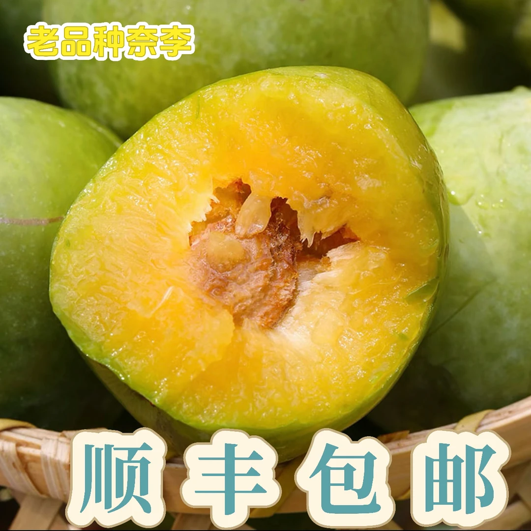 【中大果奈李】湖南炎陵老品种青奈李脱骨李孕妈妈小孩老人爱吃