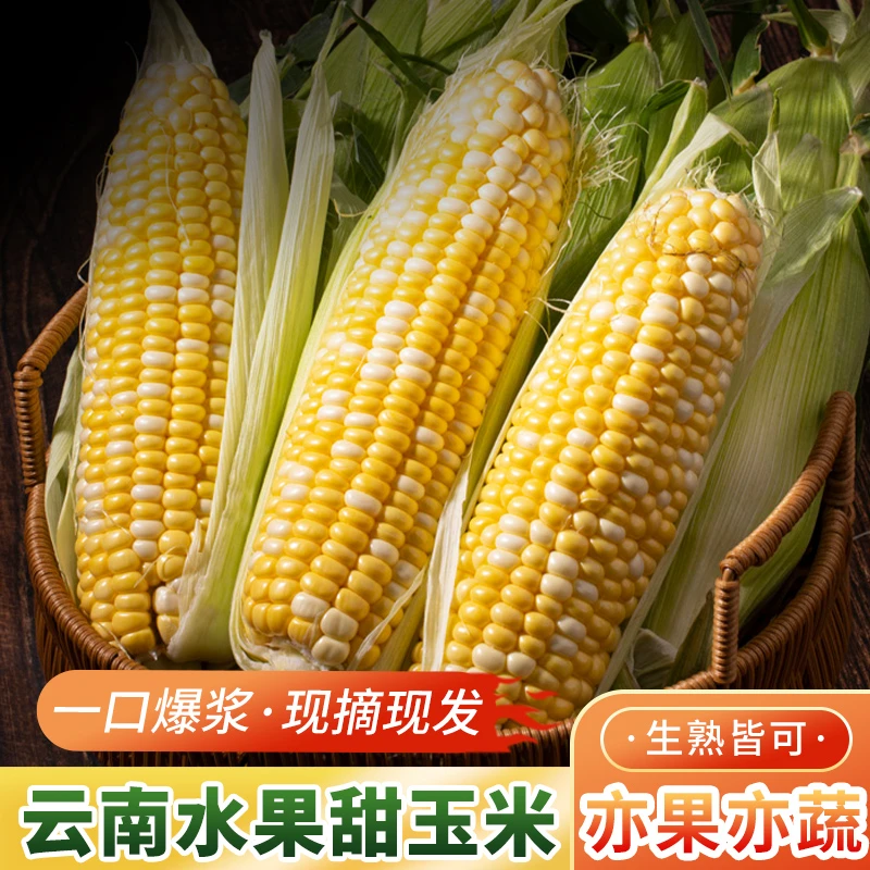云南水果玉米3-8斤装现摘嫩玉米甜玉米生吃香甜食用鲜嫩TAS