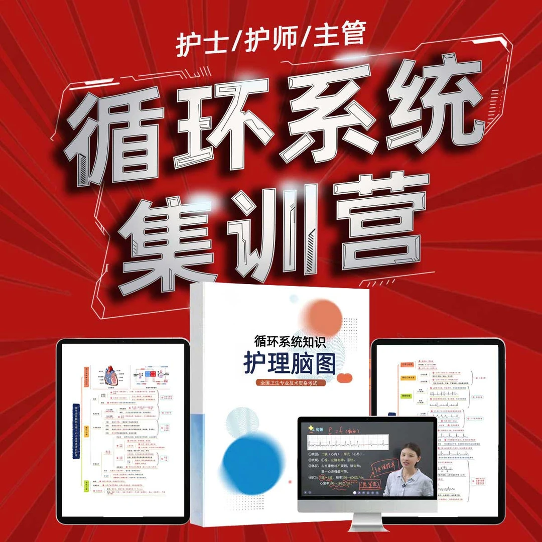 26年循环系统训练营1