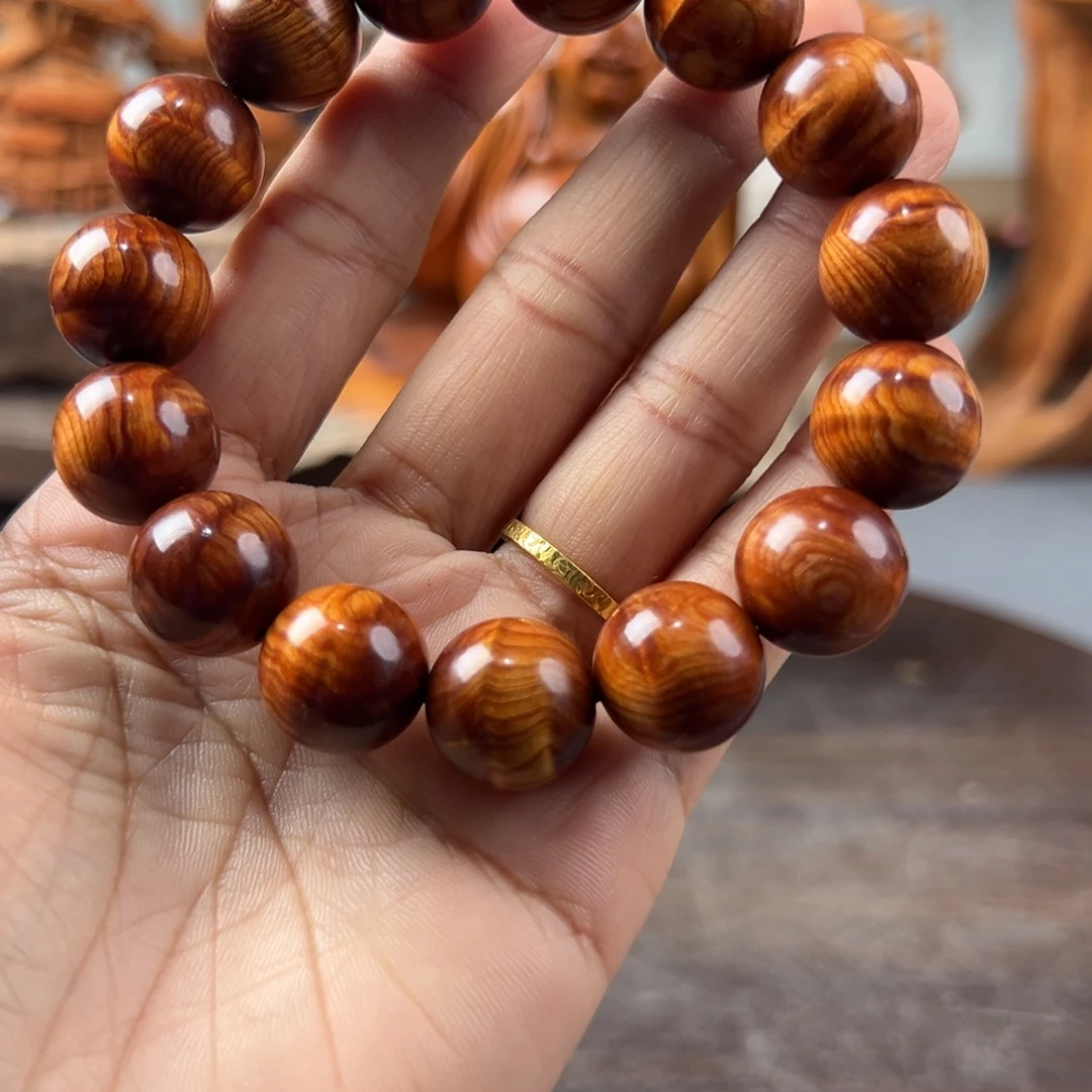 柏木（崖柏）崖柏太行山脉