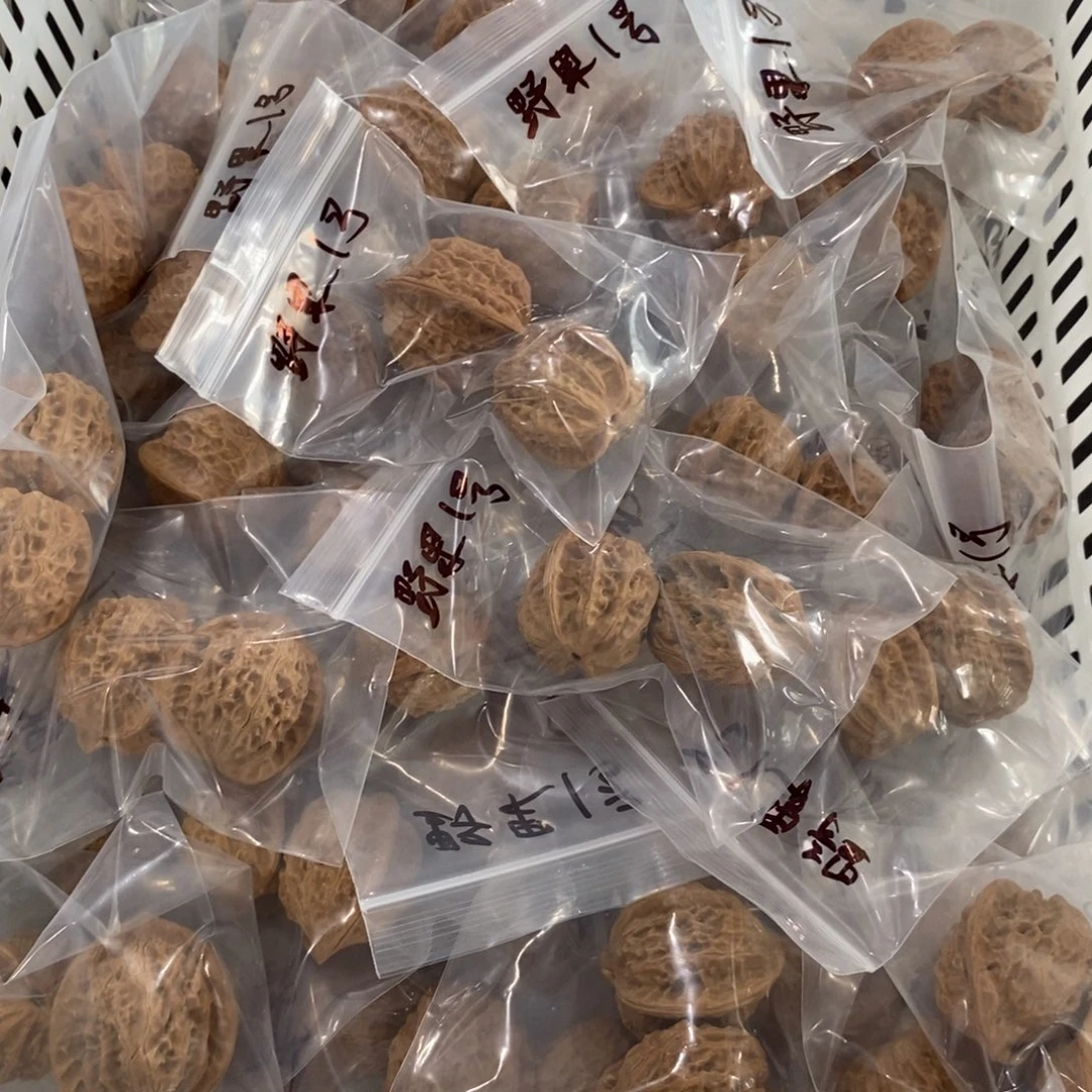 文玩核桃吊坠野果1号