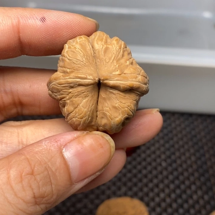 飞***觉吊坠文玩核桃文玩核桃异形单只