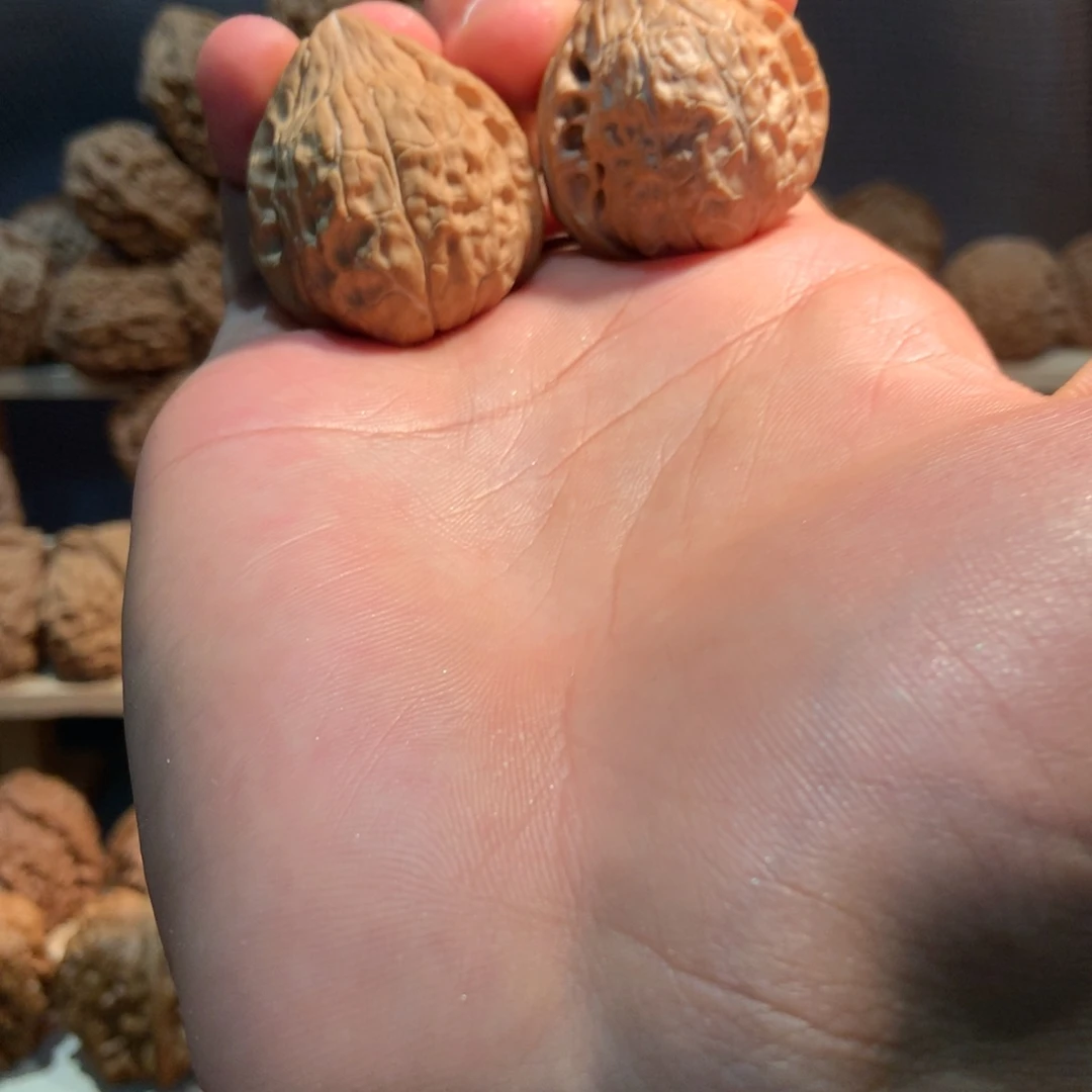 龟甲文文玩核桃全品