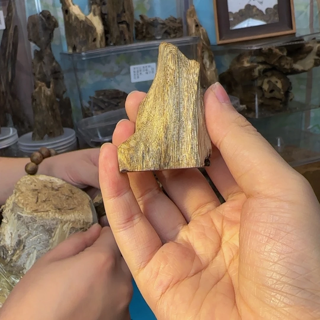 沉香碎屑沉香6克乌身01