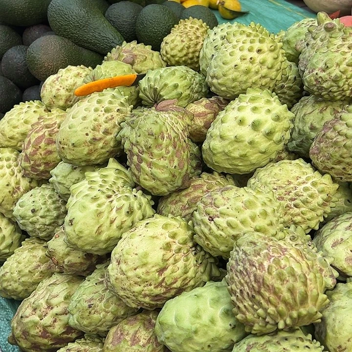 中国大陆释迦果5斤