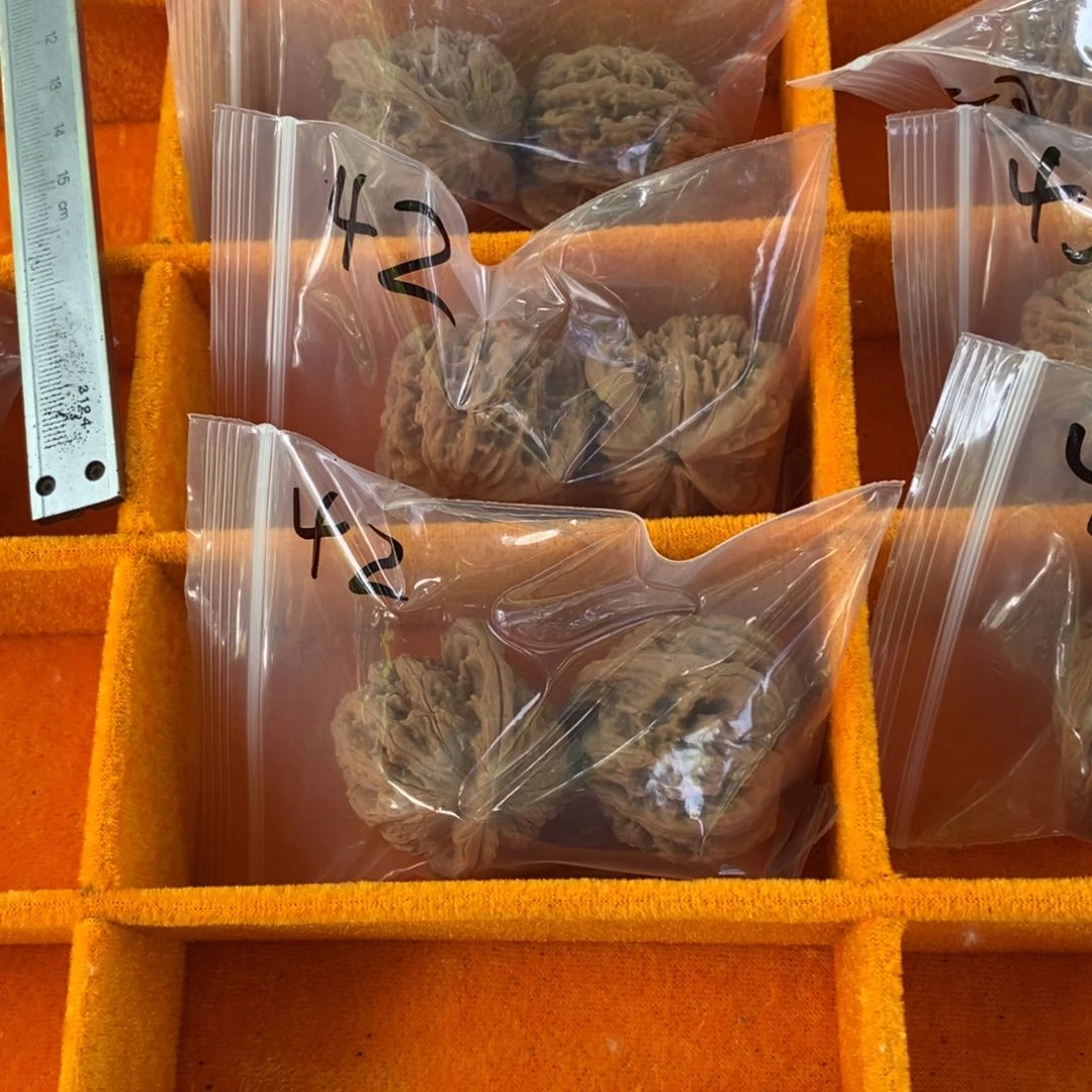 文玩核桃把件福利42虎头