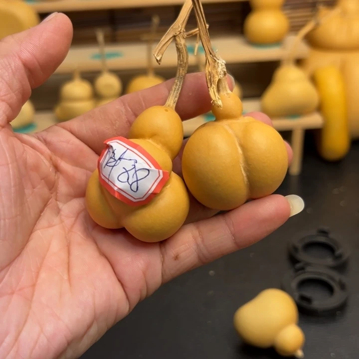 胖*姐葫芦葫芦葫芦葫芦葫芦葫芦