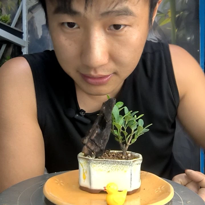 哈**?中青园艺一物一拍142