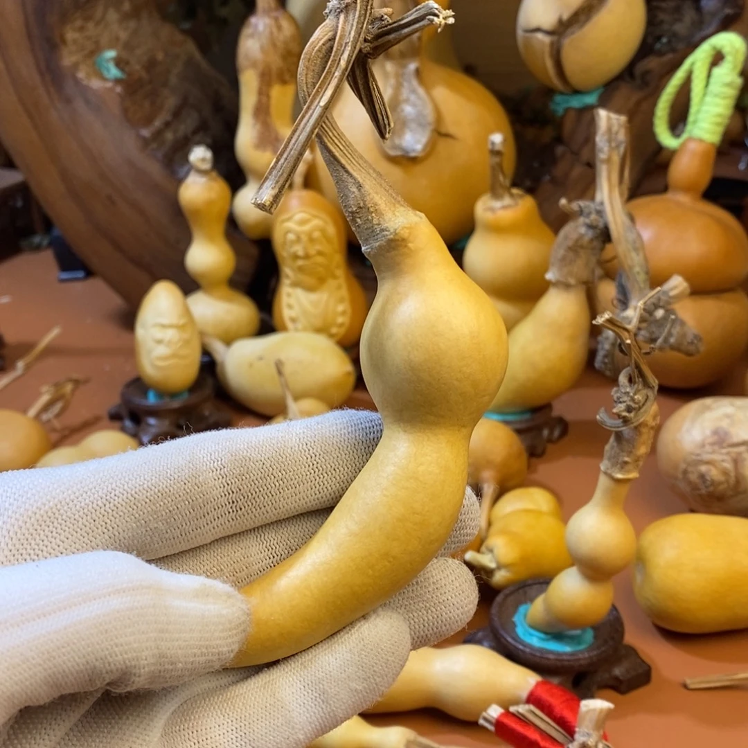 河***心教练教练教练咯咯